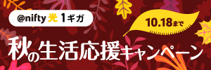 @nifty光 1ギガ