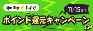 @nifty光 1ギガ