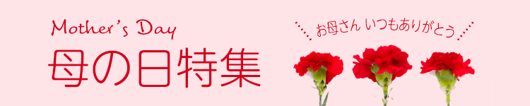 母の日特集