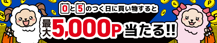 最大5,000P当たる